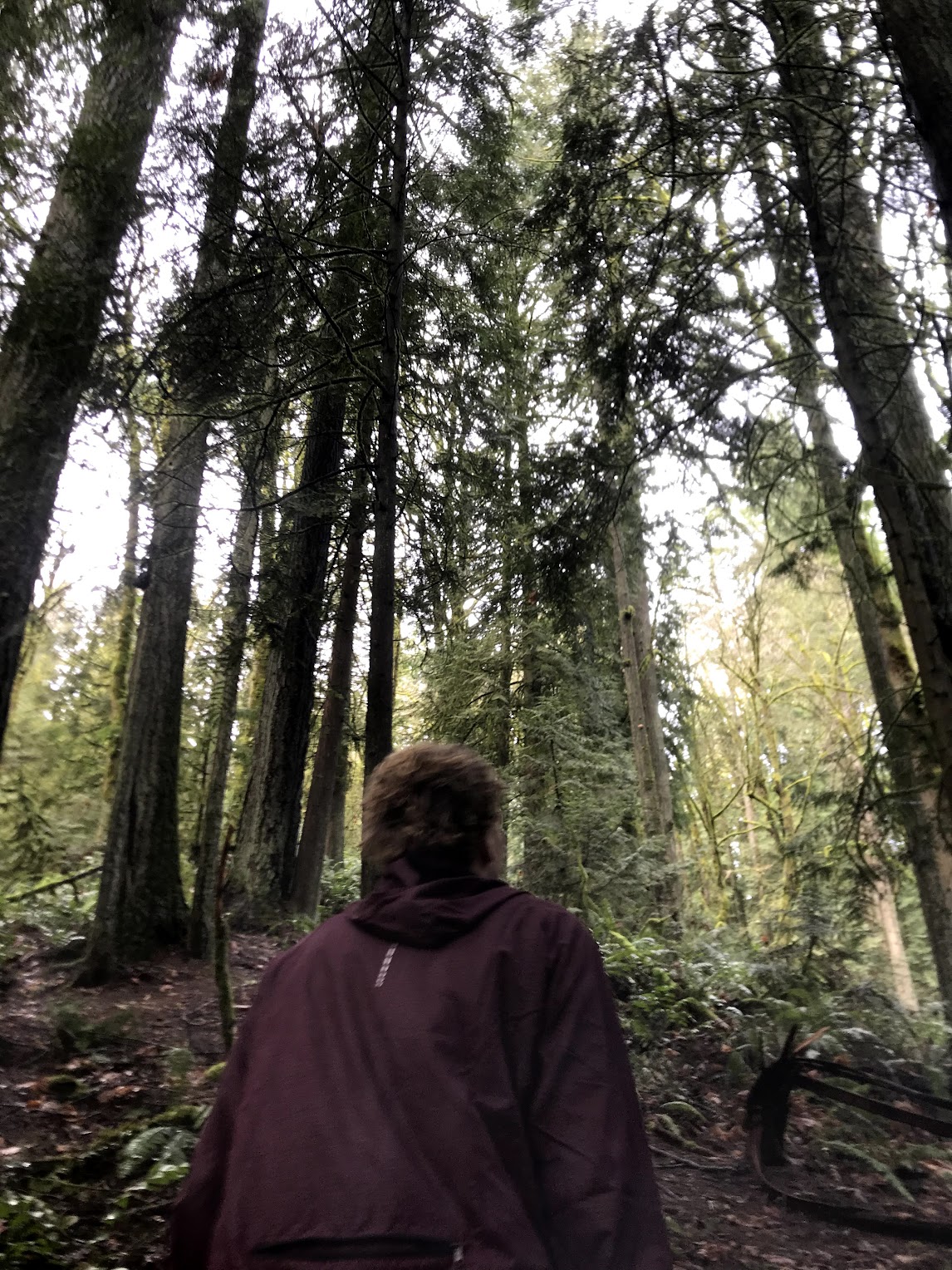 Winter training in Portland